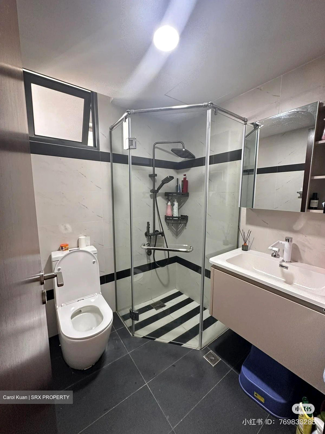 Symphony Suites (D27), Condominium #443511461